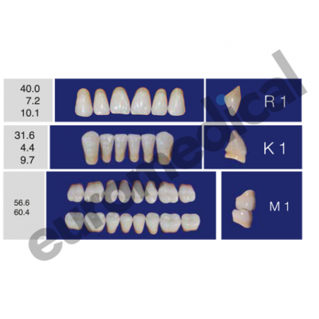 DENTI ERAY DELUXE "R1" 3 STRATI (bocca completa)