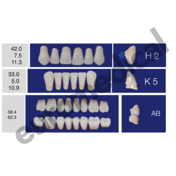 DENTI ERAY DELUXE "H2" 3...