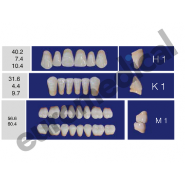 DENTI ERAY DELUXE "H1" 3...