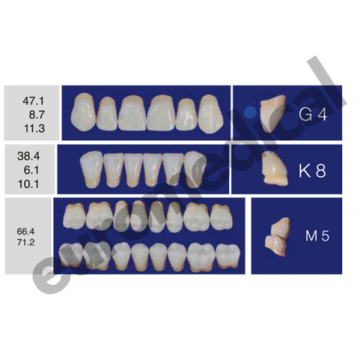 DENTI ERAY DELUXE "G4" 3...