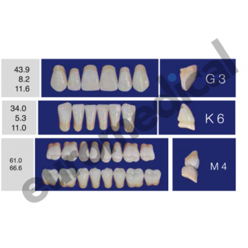 DENTI ERAY DELUXE "G3" 3...