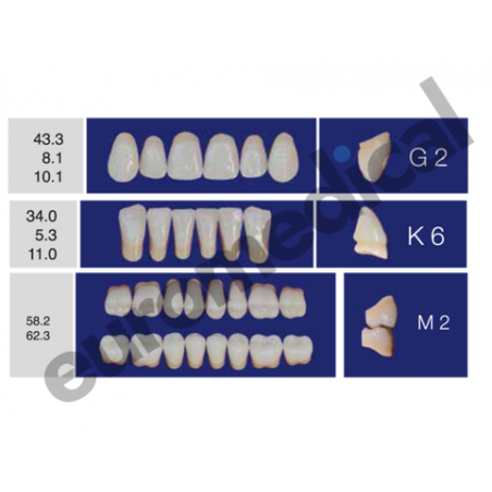 DENTI ERAY DELUXE "G2" 3 STRATI (bocca completa)