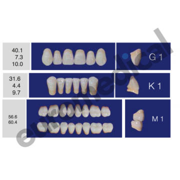 DENTI ERAY DELUXE "G1" 3...