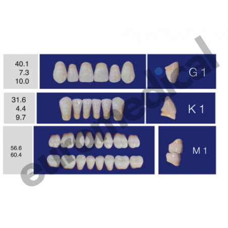 DENTI ERAY DELUXE "G1" 3 STRATI (bocca completa)