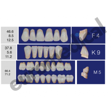 DENTI ERAY DELUXE "F4" 3...