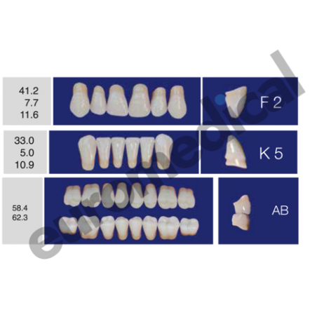 DENTI ERAY DELUXE "F2" 3 STRATI (bocca completa)