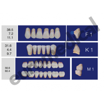 DENTI ERAY DELUXE "F1" 3...