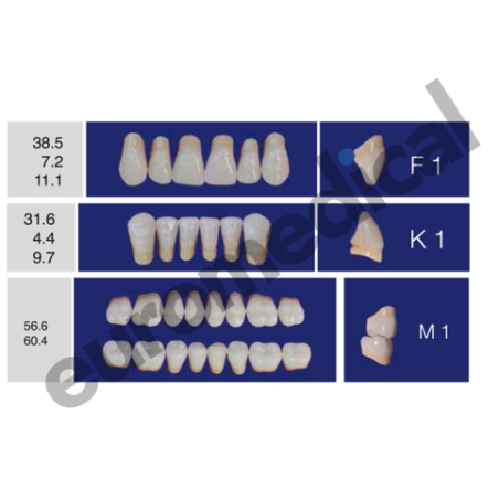 DENTI ERAY DELUXE "F1" 3 STRATI (bocca completa)