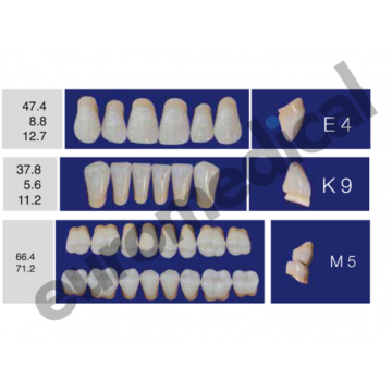 DENTI ERAY DELUXE "E4" 3...