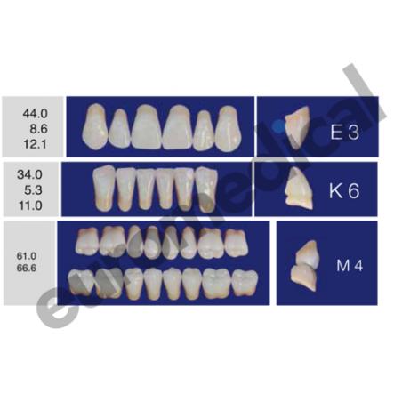 DENTI ERAY DELUXE "E3" 3 STRATI (bocca completa)
