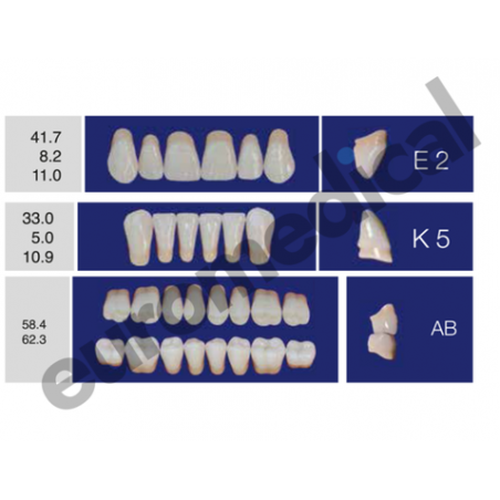 DENTI ERAY DELUXE "E2" 3 STRATI (bocca completa)