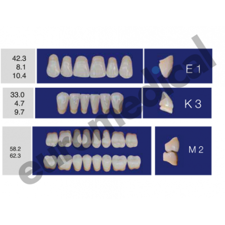 DENTI ERAY DELUXE "E1" 3 STRATI (bocca completa)